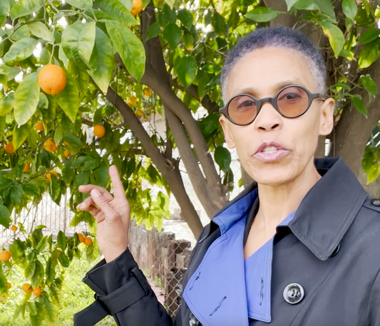 Work With Me Wednesday: 3 Skincare Gifts From The Bitter Orange Tree