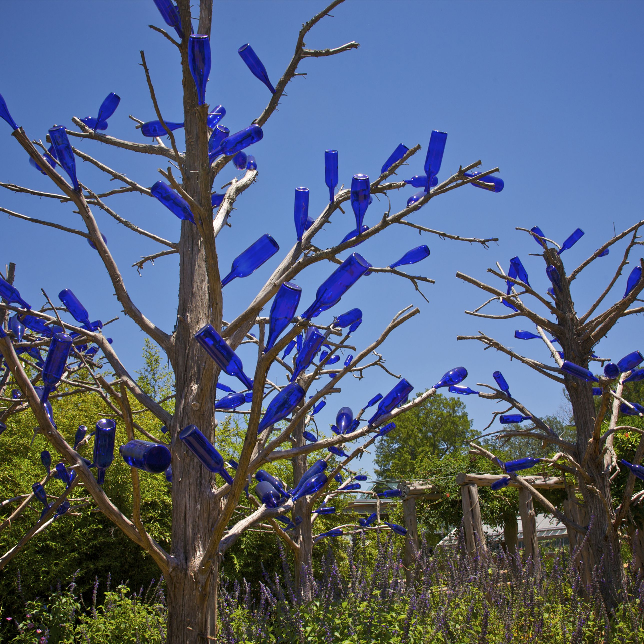 Blue Bottle Trees - South Carolina Lowcountry