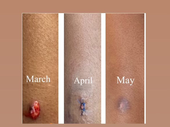 Body Butter The Egyptian Nilotica Shea