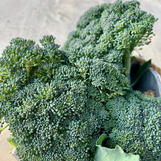 Glow Up: How Broccoli Works Wonders For Your Skin