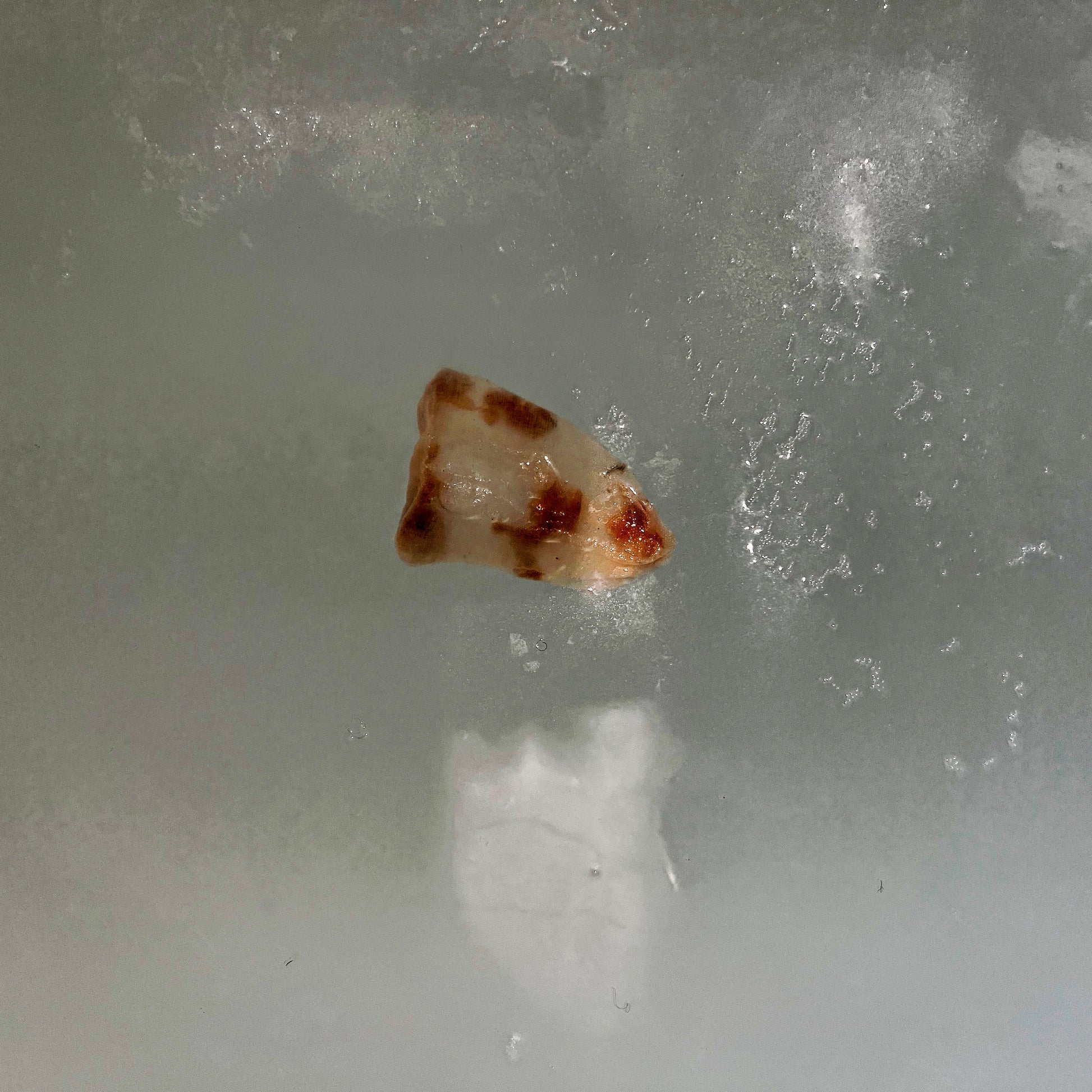 Queen of Flowers Milk Bath - Violet Botanical Skincare®